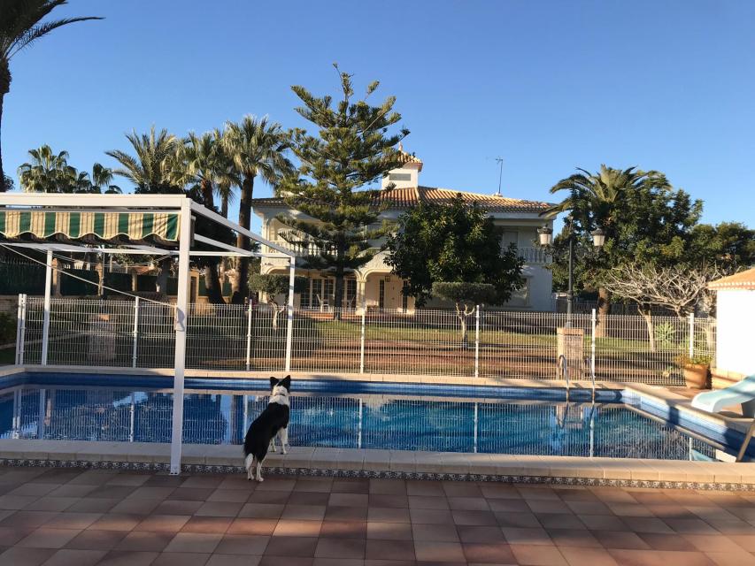 Villa in Orihuela Costa , Costa Blanca South